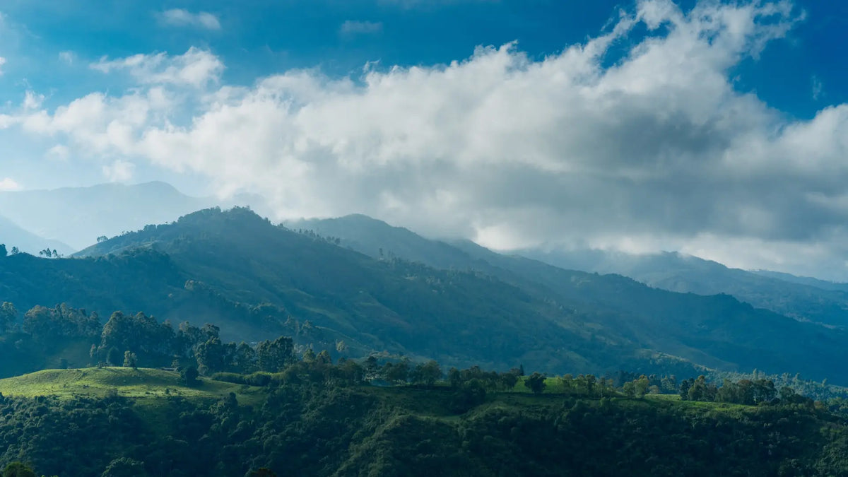 Weite grüne Berglandschaft unter blauem Himmel mit großen Wolken.